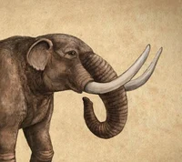 Mastodon