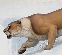 Eurasian Cave Lion