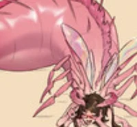 New world tf RP