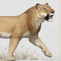 American Lion