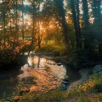 Внезапная встреча