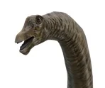 Mamenchisaurus