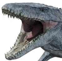Mosasaurus