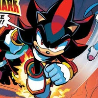 01 Shadow T Hedgehog