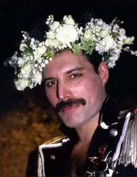 Freddie Mercury 