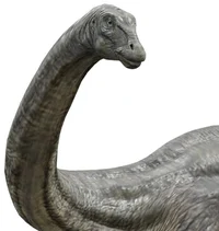 Apatosaurus