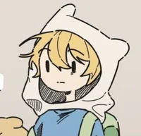 Finn The human