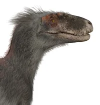 Moros Intrepidus
