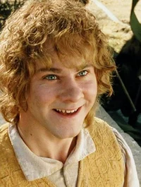 LOTR - Meriadoc