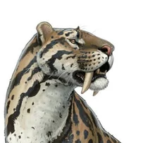 Smilodon Fatailis