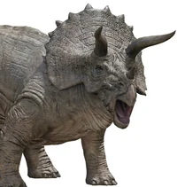Triceratops