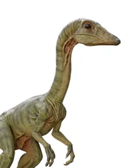 Compsognathus