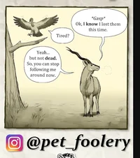 He Will Never Escape