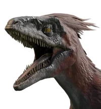 Pyroraptor