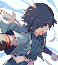 Falkner 