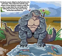 Dad Gator tg