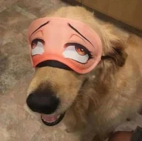 Anime girl dog