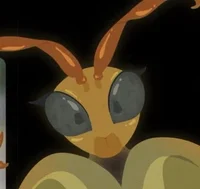 Asian Magumbo Hornet