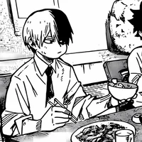 MHA Shoto Todoroki 