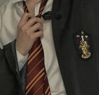 Gryffindor Boyfriend