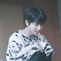 Han Jisung - minsung