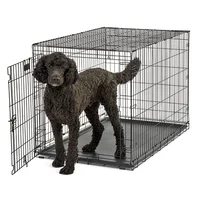 A crate tf POODLE 