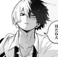 MHA Shoto Todoroki