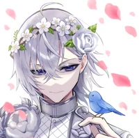 Silver Vanrouge TWST