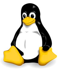 Linux Error Logo