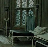 Order of the Phoenix