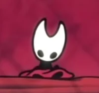 Hollow Knight RPG