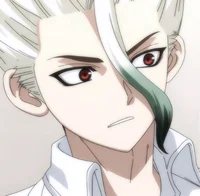 Senku Ishigami 