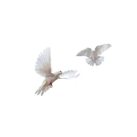 000 -  Send Requests