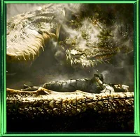 AEGON II