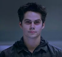 Void Stiles