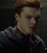 Jerome valeska