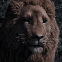 Aslan 