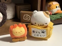 02       AIB SECTION