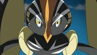 Tapu Koko