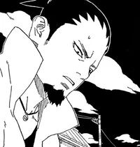 Shikamaru Nara 