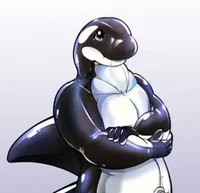 Inflatable Orca FIL