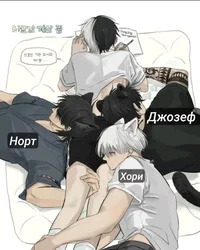 Ваши зверьки