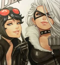 Black cat x Catwoman