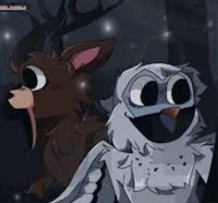 Deer and Owl