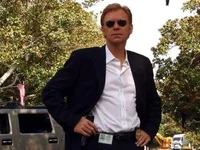 Horatio Caine