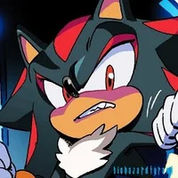SHADOW T HEDGEHOG 