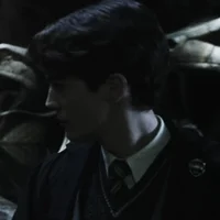 Hp - Tom Riddle 