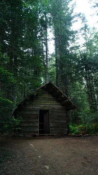 Maple Hollow Cabin