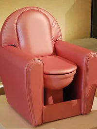 Recliner toilet 