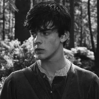 EDMUND PEVENSIE